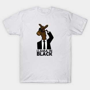 Llama in black T-Shirt